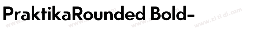 PraktikaRounded Bold字体转换